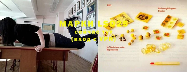 PSILOCYBIN Елизово