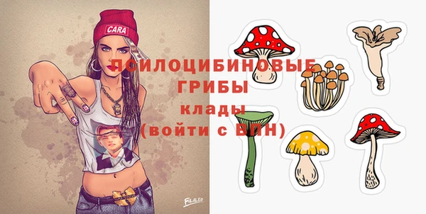 apvp Елабуга