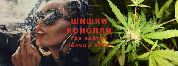 PSILOCYBIN Елизово